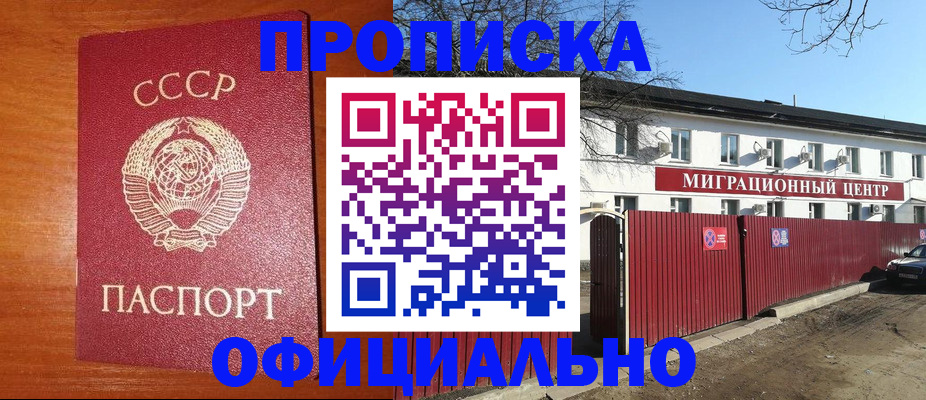 помощь с миграционным учётом в Кандалакше